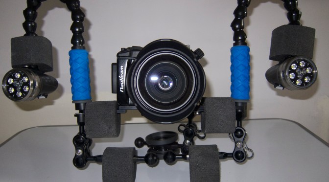 Underwater Video Tips: Best video settings for Panasonic LX7