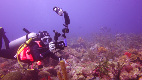 Results with White Balance Error 9900