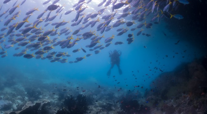 Tuition Day with Martin Edge