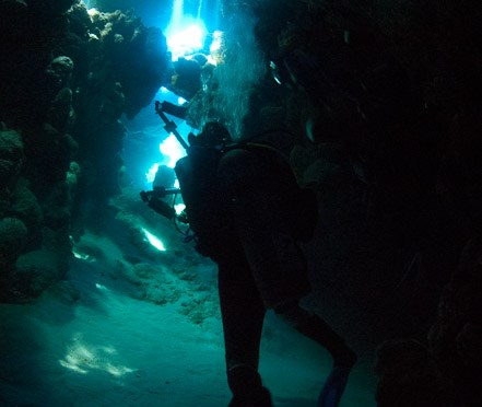 Red Sea Workshop with Alex Mustard – Part III Sunbursts and the Caves
