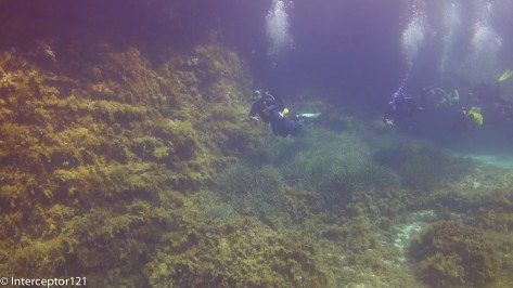 Lowered Constrast on -3