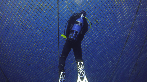 Opening the tuna farm