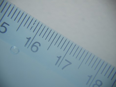 Lumix G X 14-42 PZ @ 42mm with Inon UCL-165+330 Stacked