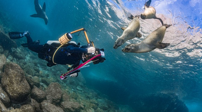 121 with Paolo Isgro