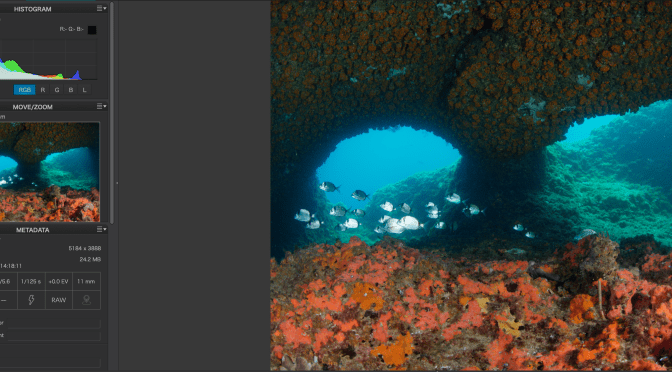 Choosing the appropriate gamma for your video project