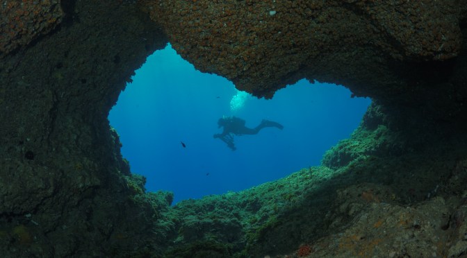 Back in the water Sorrento Peninsula 2021