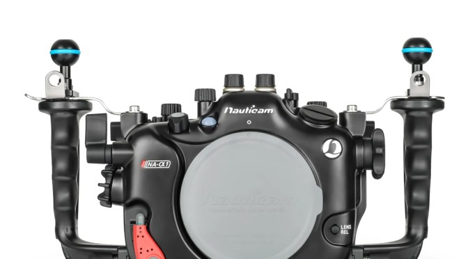 Which Sony Camera for Underwater Photography in 2023