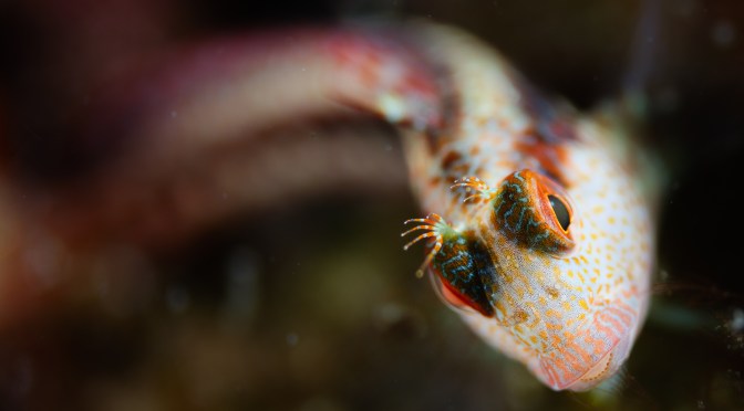 In support of Depth of Field